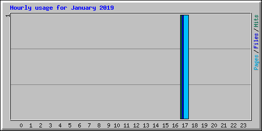 Hourly usage for January 2019